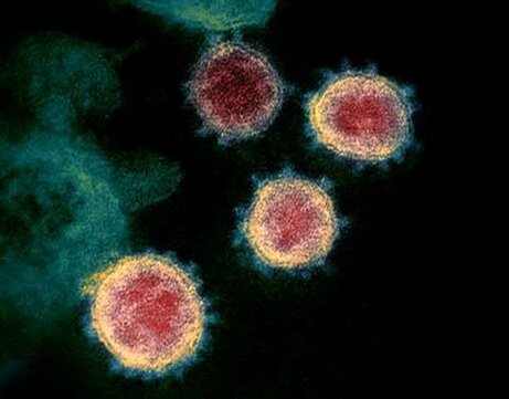coronavirus - God's punishment - law of reciprocal action coronavirus - God's punishment - law of reciprocal action