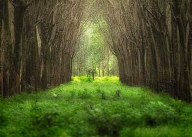 suicidal ideation - overcoming it as a way out suicidal thougts - a way out of the dark
