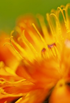 Mensaje del Grial - En la Luz de la Verdad - Despertar Mensaje del Grial - En la Luz de la Verdad - Despertar