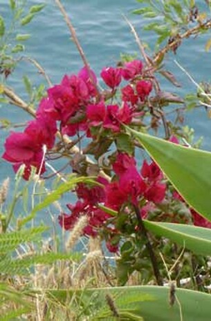 Gralsbotschaft- Im Lichte der Wahrheit - Zum Geleite Geleitwort - Gralsbotschaft - Im Lichte der Wahrheit