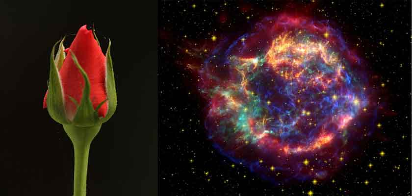 Sündenvergebung - Entwicklung im Kleinen und Großen